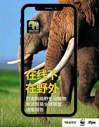 在线下，在野外：打击网络野生动植物非法贸易全球联盟进度报告.pdf