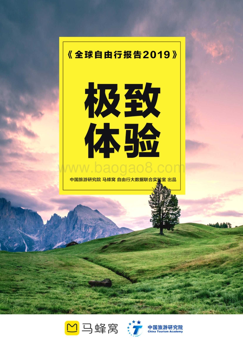 2019全球自由行报告：极致体验.pdf_第1页