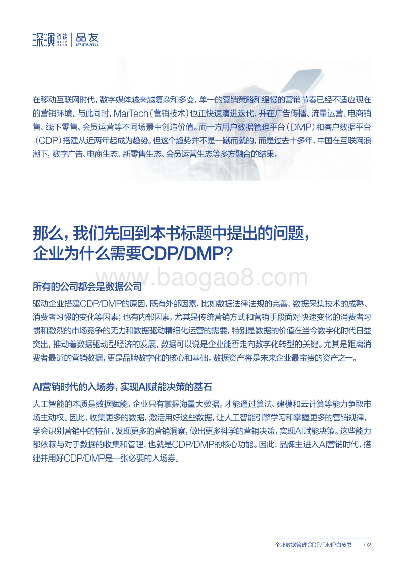 企业数据管理CDPDMP白皮书.pdf_第2页