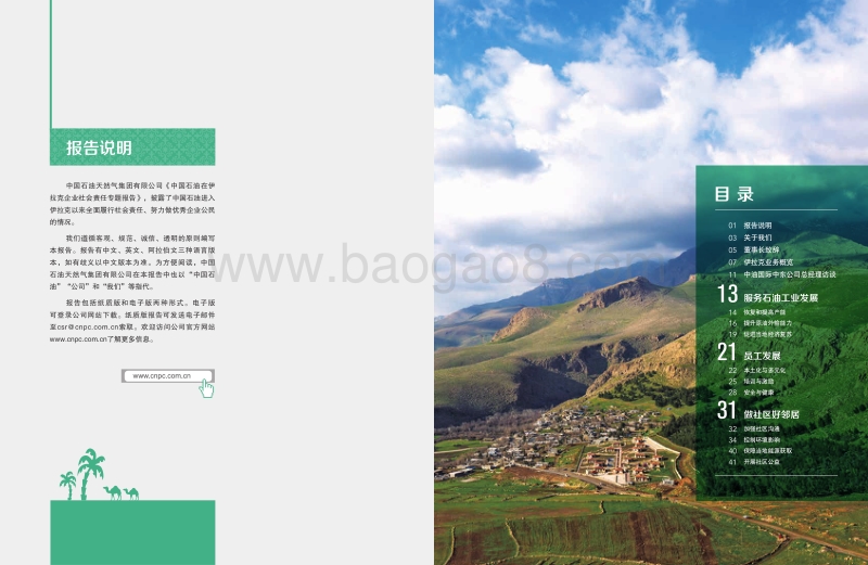 中国石油在伊拉克.pdf_第2页