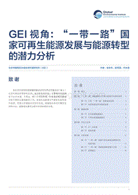 “一带一路”国家可再生能源发展与能源转型的潜力分析.pdf