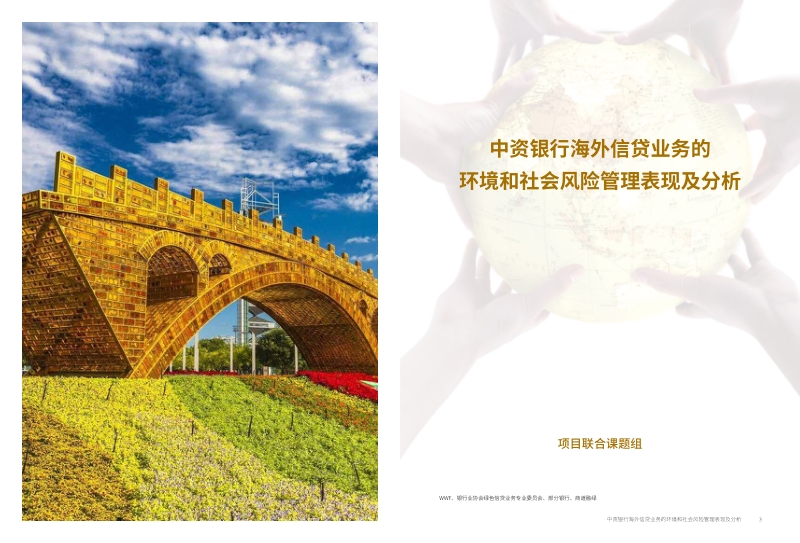 中资银行海外信贷业务的环境和社会风险管理表现及分析.pdf_第2页