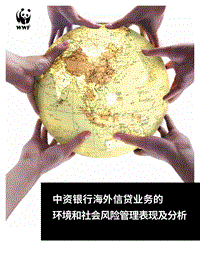 中资银行海外信贷业务的环境和社会风险管理表现及分析.pdf