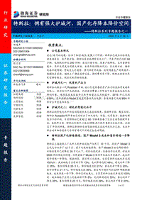 特斯拉系列专题报告之一：特斯拉：拥有强大护城河，国产化存降本降价空间.pdf