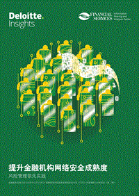 提升金融机构网络安全成熟度：风险管理领先实践.pdf