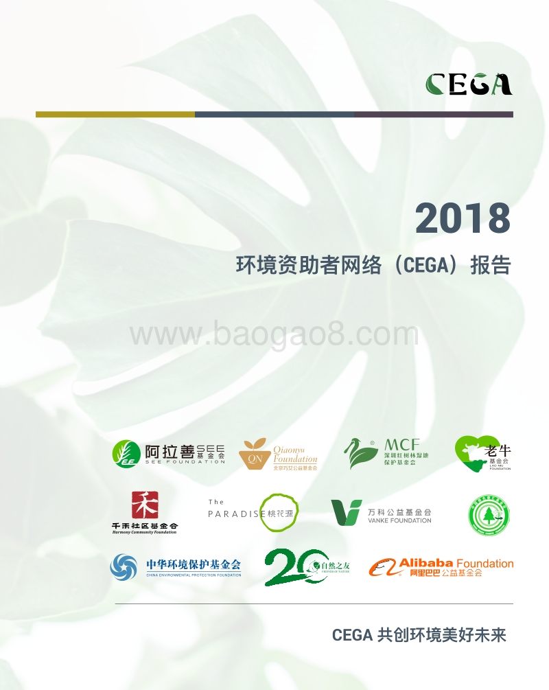 2018环境资助者网络（CEGA）报告.pdf_第1页
