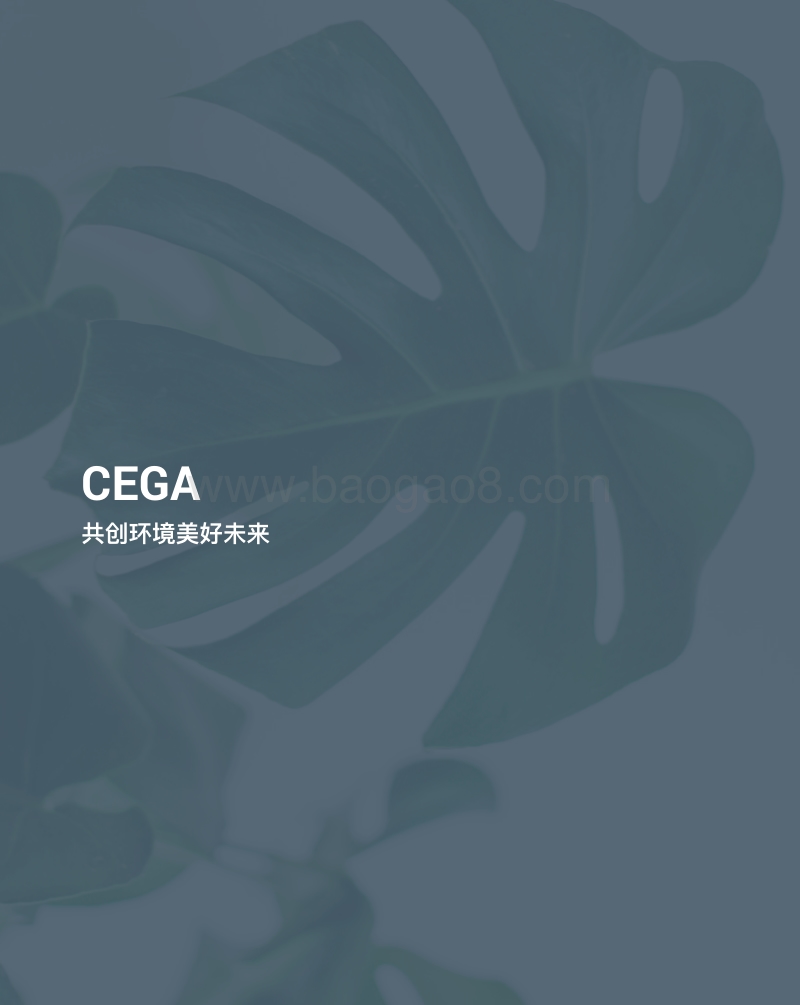 2018环境资助者网络（CEGA）报告.pdf_第2页