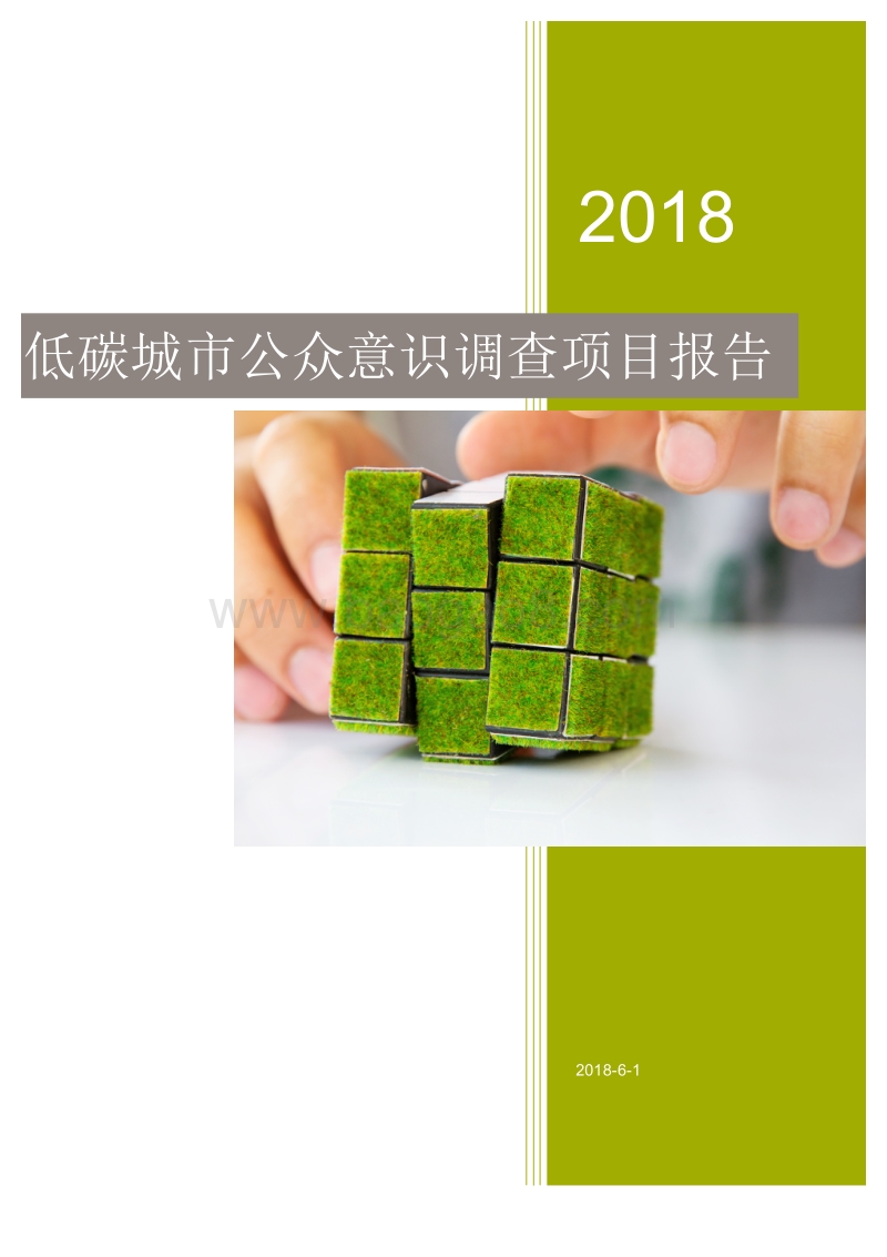 2018低碳城市公众意识调查项目报告.pdf_第1页