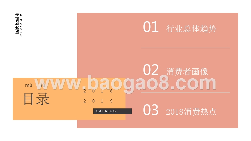 2018-2019美妆行业消费分析报告.pptx_第2页