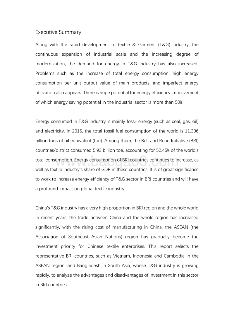 一带一路地区纺织行业能效提升报告.pdf_第5页
