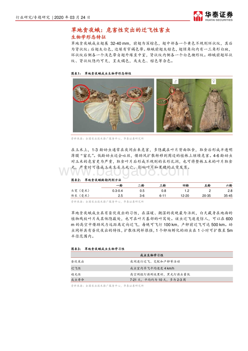 草地贪夜蛾：形势严峻，关注种业、农药.pdf_第4页