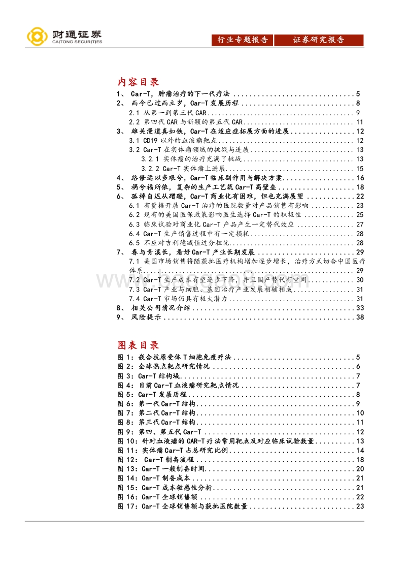 Car-T细胞治疗行业报告-道由白云尽，春与青溪长，看好Car-T行业长期发展.pdf_第2页