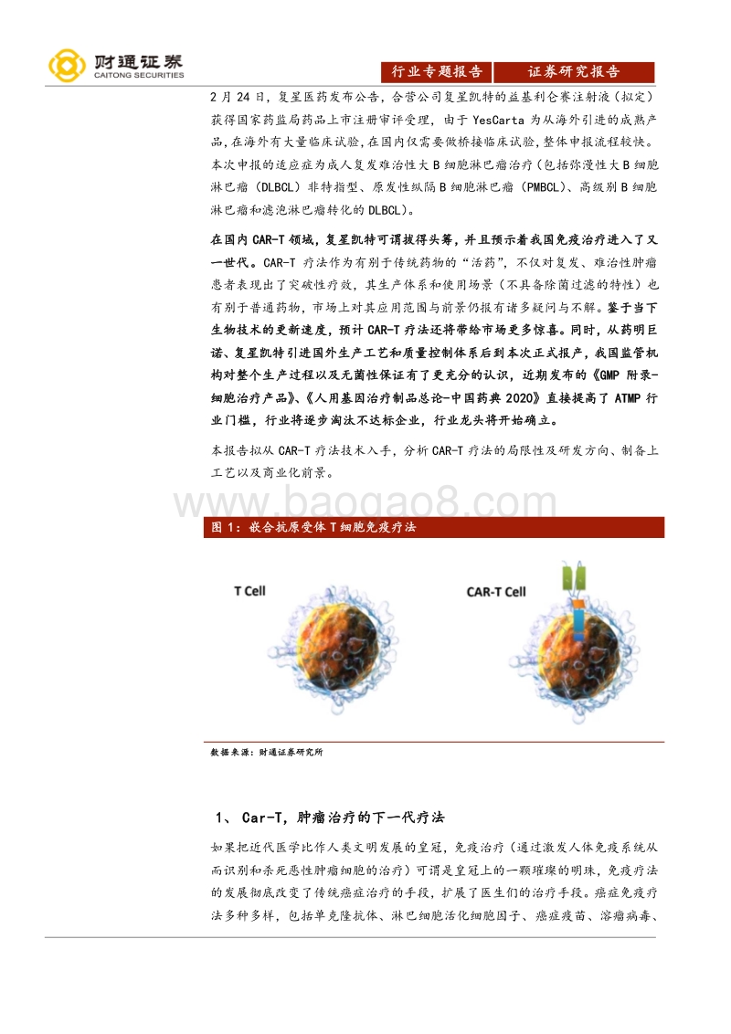 Car-T细胞治疗行业报告-道由白云尽，春与青溪长，看好Car-T行业长期发展.pdf_第5页