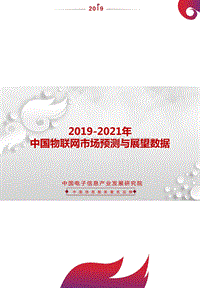 2019-2021年中国物联网市场预测与展望数据.pdf