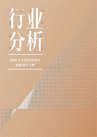 2019公立医院信息化招标统计分析.pdf