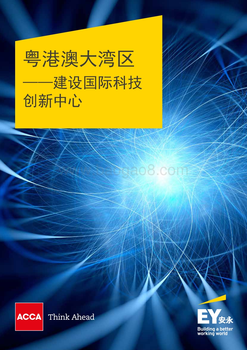 粤港澳大湾区：建设国际科技创新中心.pdf_第1页