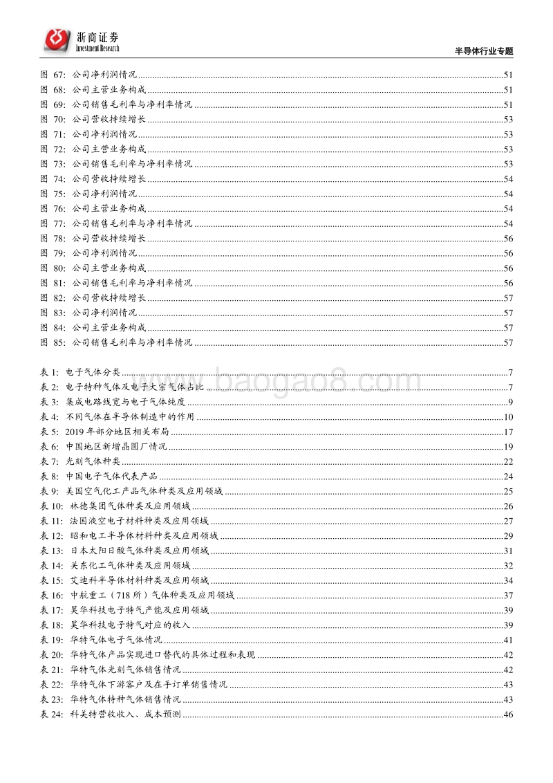 半导体材料·电子气体投资宝典.pdf_第5页