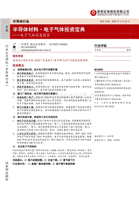 半导体材料·电子气体投资宝典.pdf