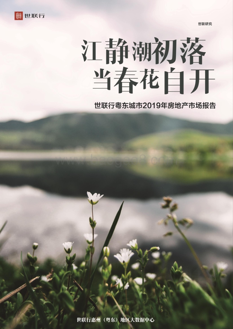 粤东城市2019年房地产市场报告.pdf_第1页