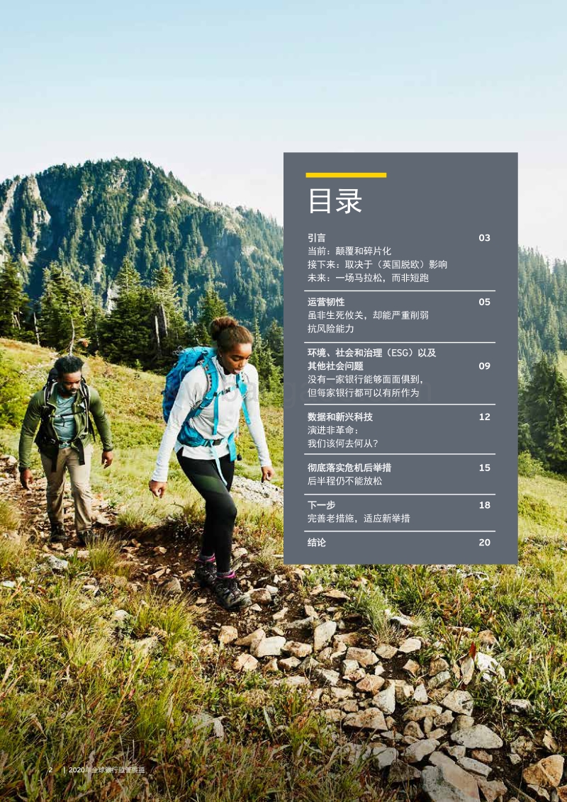 2020年全球银行监管展望.pdf_第2页