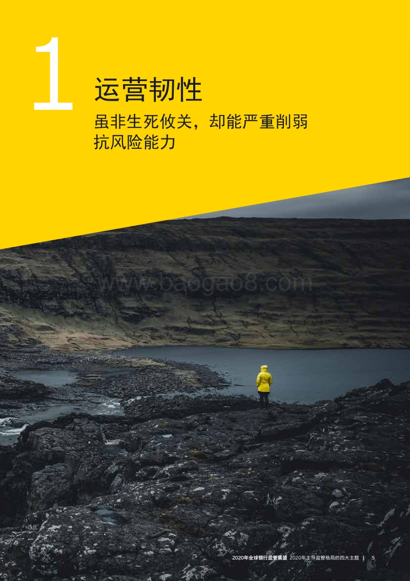 2020年全球银行监管展望.pdf_第5页