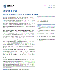 阳光总在风雨后——武汉城投平台梳理及择券.pdf