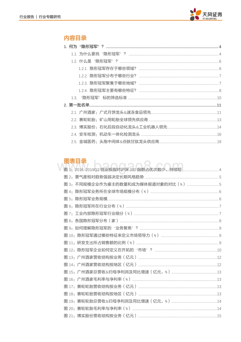 寻找A股中的“隐形冠军”系列之一：百亿市值中哪些标的被忽略了？.pdf_第2页