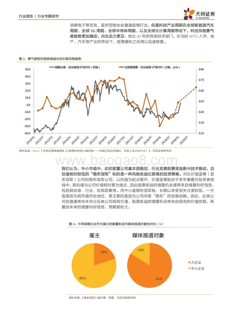 寻找A股中的“隐形冠军”系列之一：百亿市值中哪些标的被忽略了？.pdf_第5页
