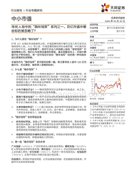 寻找A股中的“隐形冠军”系列之一：百亿市值中哪些标的被忽略了？.pdf