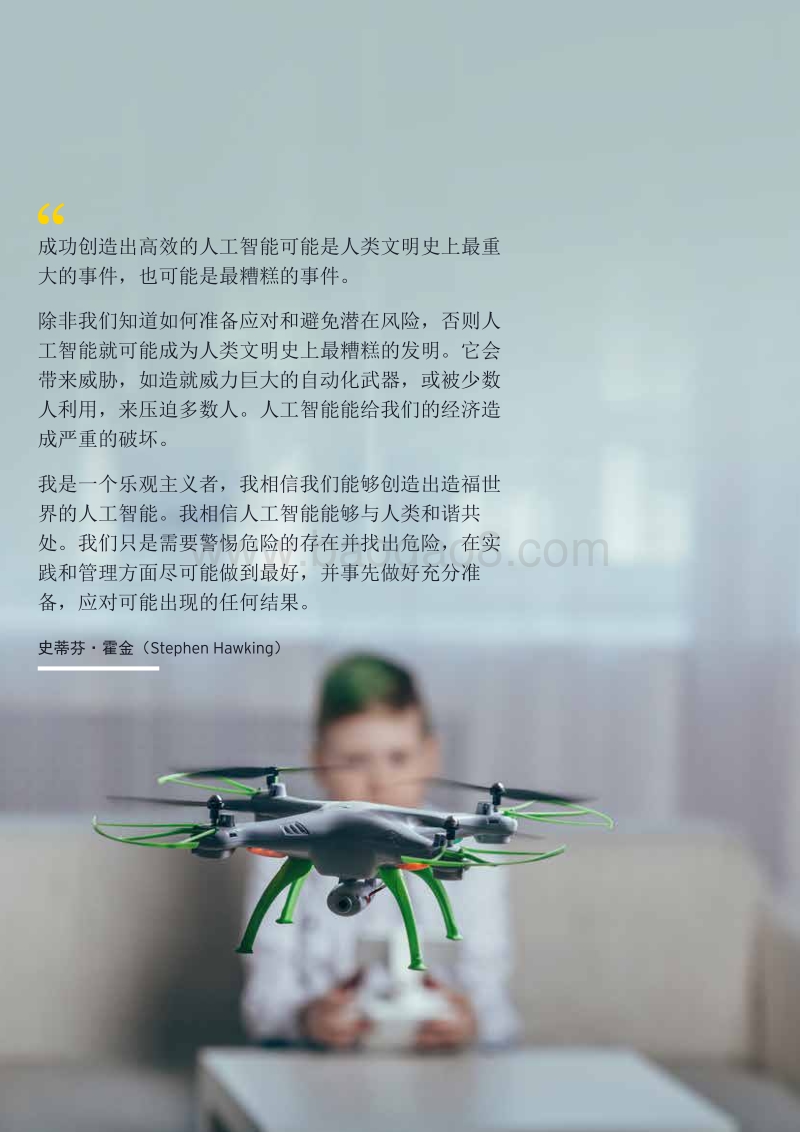 如何通过风险预测获取人工智能洞察？.pdf_第2页