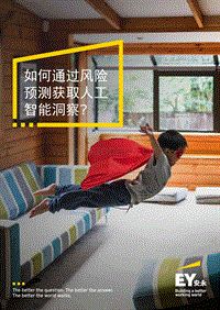 如何通过风险预测获取人工智能洞察？.pdf