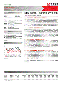 上市险企2019年报综述：NBV现分化，投资推动EV稳增长.pdf