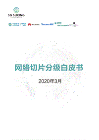 网络切片分级白皮书.pdf