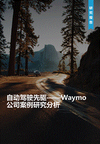 自动驾驶先驱：Waymo公司案例研究分析.pdf