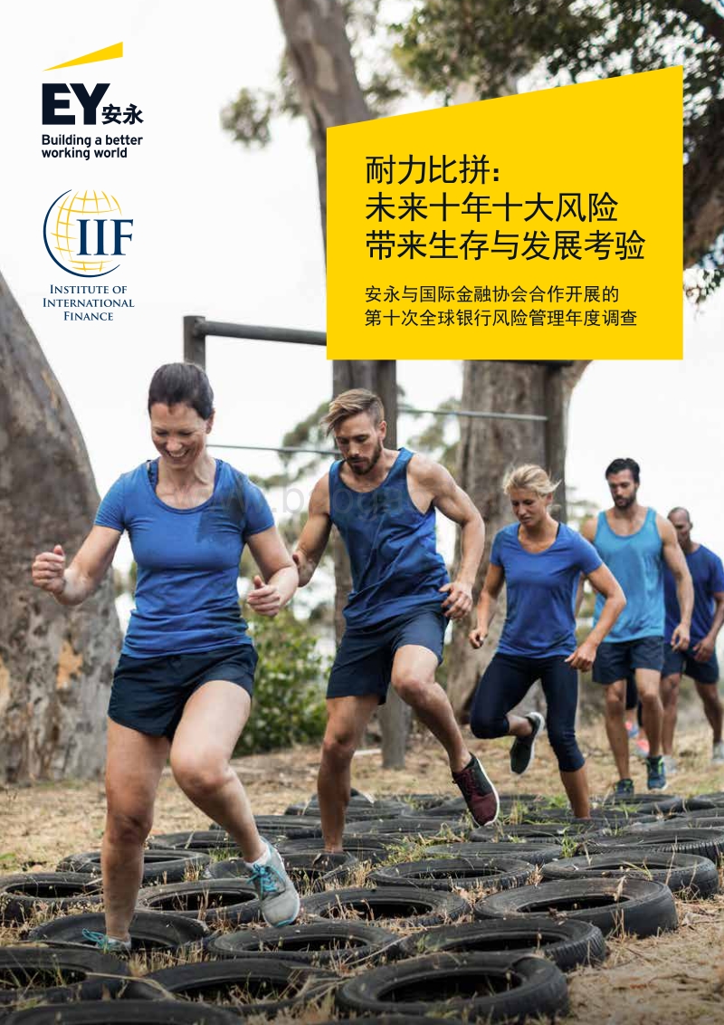 耐力比拼：未来十年十大风险带来生存与发展考验.pdf_第1页