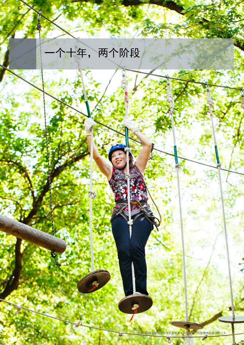 耐力比拼：未来十年十大风险带来生存与发展考验.pdf_第5页