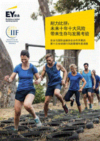耐力比拼：未来十年十大风险带来生存与发展考验.pdf
