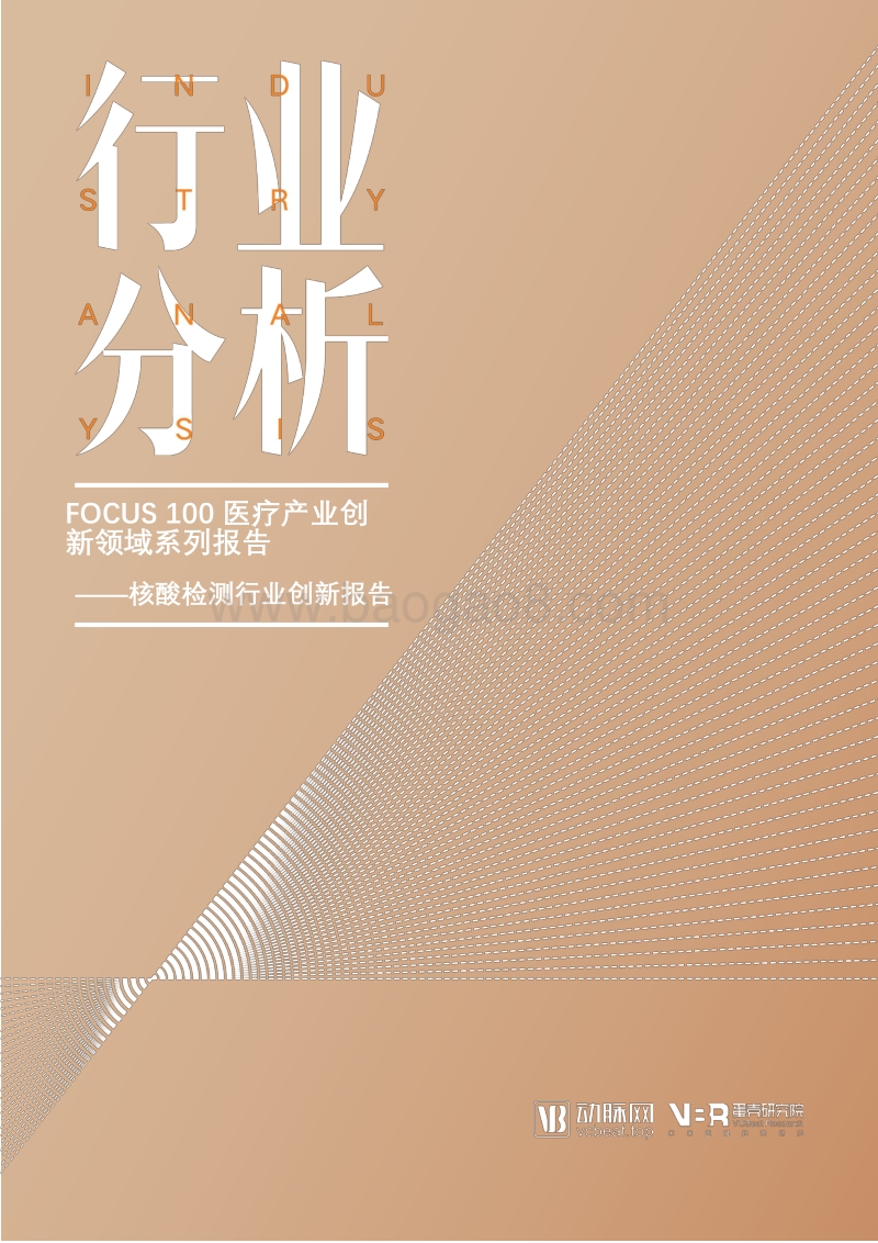 核酸检测行业创新报告：FOCUS100医疗产业创新领域系列报告.pdf_第1页
