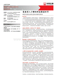 解密美国流动性危机的微观原因：需要深入了解的那些薄弱环节.pdf
