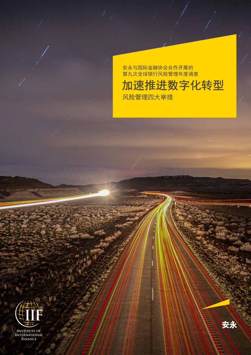 加速推进数字化转型：风险管理四大举措.pdf_第1页