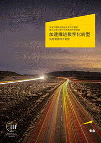 加速推进数字化转型：风险管理四大举措.pdf