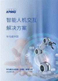 智能人机交互解决方案.pdf