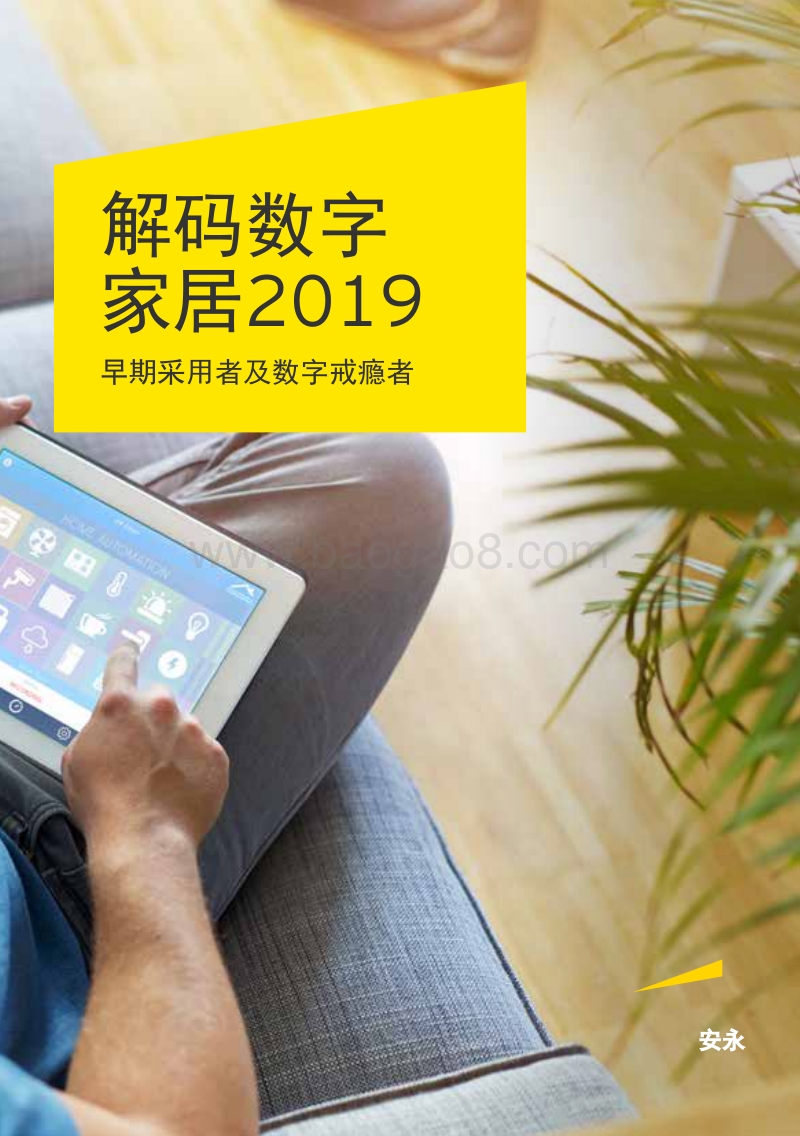 解码数字家居2019.pdf_第1页
