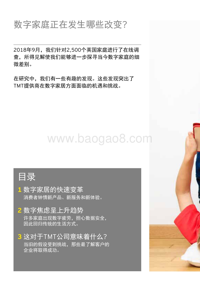 解码数字家居2019.pdf_第2页