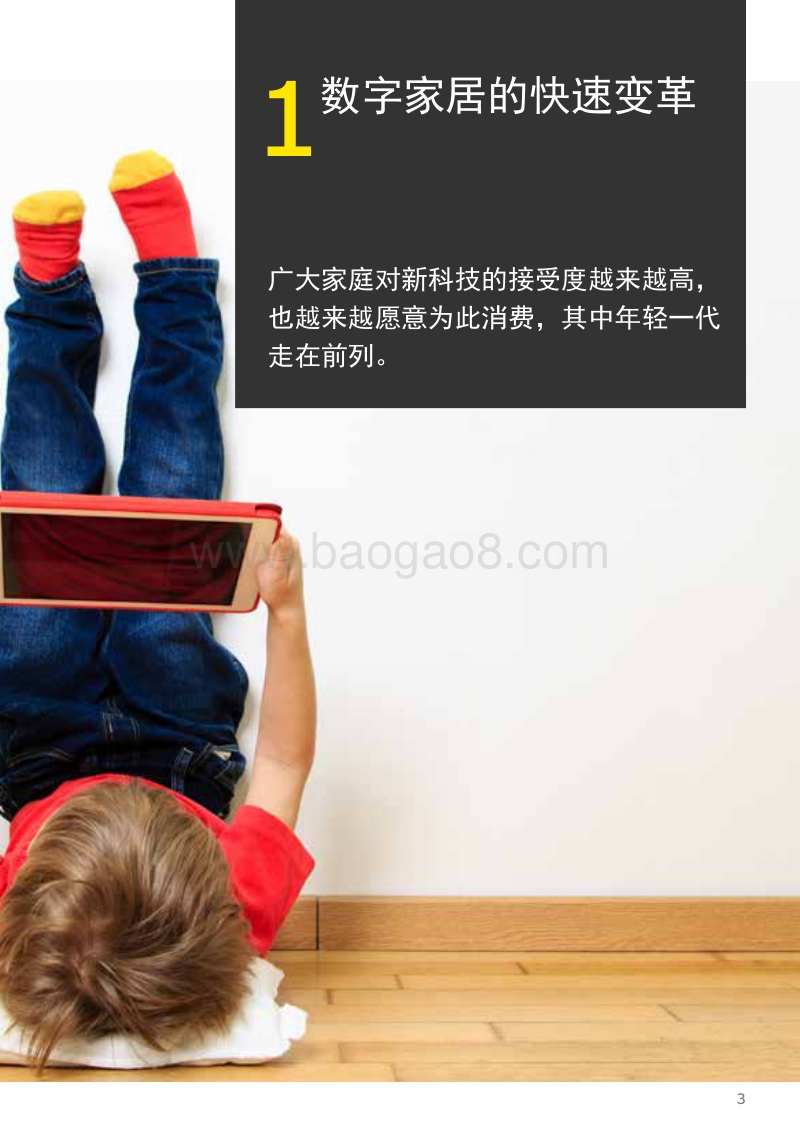 解码数字家居2019.pdf_第3页
