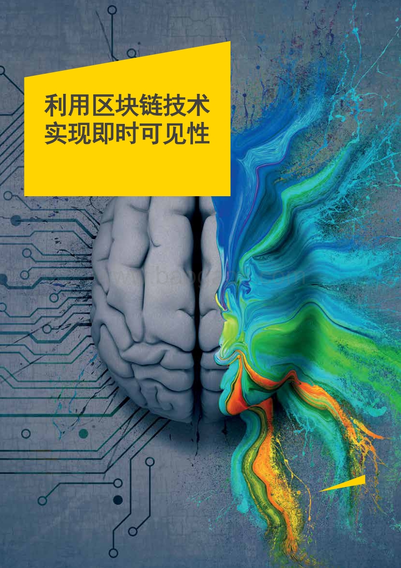 利用区块链技术实现即时可见性.pdf_第1页