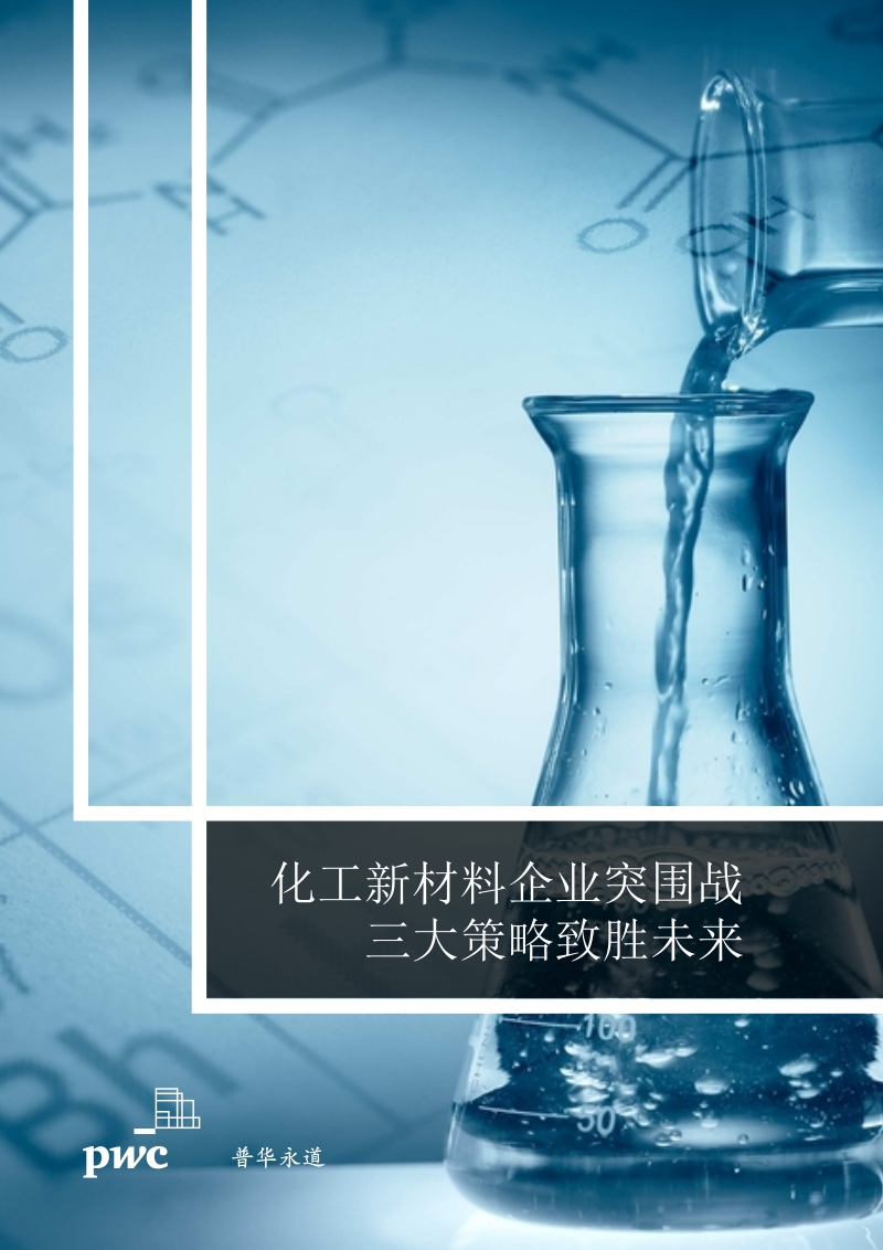 化工新材料企业突围战，三大策略致胜未来.pdf_第1页