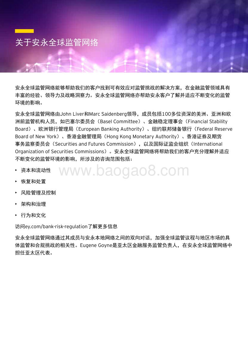 全球监管主题与中国市场.pdf_第4页