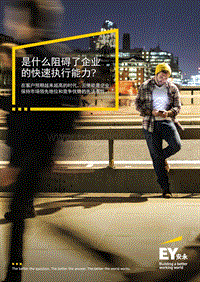 是什么阻碍了企业的快速执行能力？.pdf
