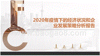 2020年疫情下的经济状况和企业发展策略分析报告.pptx